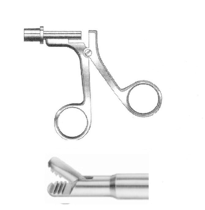 BÜYÜK PİKE AĞIZ FORSEPS ÇAP  10 MM